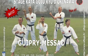 Stage kata plein air Guipry 24-26 Juillet 2020