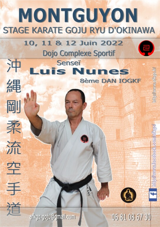 Stage AFKGO dirigé par Luis NUNES Senseï 10-12 Juin 2022 à Montguyon
