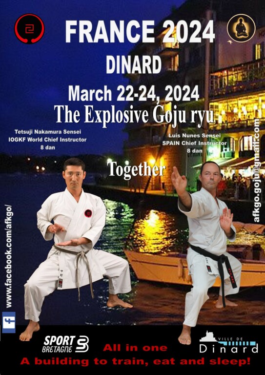 Stage international dirigé par Tetsuji NAKAMURA Sensei et Luis NUNES Sensei 22-24 mars 2023 à Dinard (35)