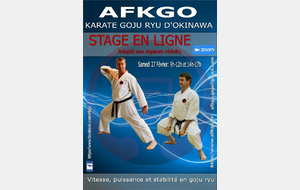 Stage AFKGO en ligne Samedi 27 Février 2021