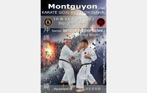 Stage ceintures marrons AFKGO 10-11 Juin 2023 à Montguyon