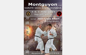 Stage AFKGO ceintures noires 4-5 mai 2024 Montguyon (17)