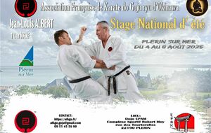 Stage d'été AFKGO 4-8 août 2025 Plérin/mer (22)